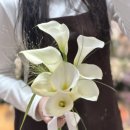 26500-76-10-005 | W4. 부산 웨딩촬영 부케_애플라워, 포브플라워(내돈내산)