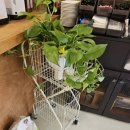 카페브런치(오후) 이미지