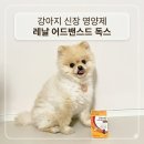 강아지 신장 영양제 후기｜SDMA 상승 후 레날 어드밴스 독스 급여 시작