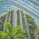 forest | [2편] 가든스바이더베이 클라우드 포레스트(Cloud Forest) 후기｜싱가폴여행코스 중 꼭 가봐야 할 곳