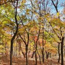 우면산3-19 이미지