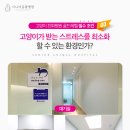 실이 그루밍 이미지