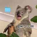 (주)신한약품 | [호주 시드니 여행 🇦🇺] 여행 준비의 모든 것 ✔️