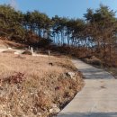 신도1리경로당 이미지