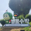 맹동농업협동조합 | 맹동꿀수박, 여름 수박의 최고라 불리는 이유!