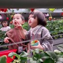 시현농장 이미지