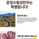 윤정수횡성한우 이미지