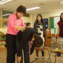 성베드로학교 이미지