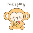 보가 코인 노래연습장 이미지