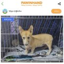 이리온 양재점 이미지