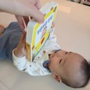 부릉부릉빵빵 이미지