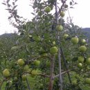 병규농장 이미지