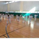 연세 성원 태권도 이미지