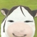 보성금속 네이버블로그