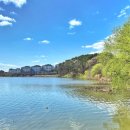 연세인의원 이미지