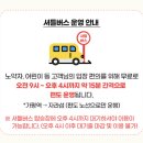 (주)아이엠커넥션 | 자라섬페스티벌 2025 🎶 차 가져가지 마세요! 대중교통 후기