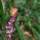 길상초등학교 이미지