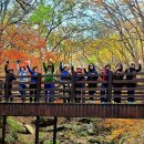 옥류천이야기길(동축사길) | 울산 동구 옥류천 이야기 마음이 흐르는 늦가을 건강 산행