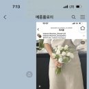 메종 플로이