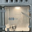 더에스동물병원 이미지