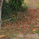 신산교차로 1 이미지