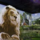 원더파크 이미지