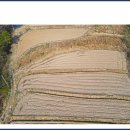 신흥리태양광발전소 이미지