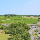 설록차전시관 이미지