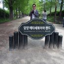 아로케이 이미지