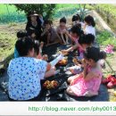 하늘연달농장 | 참새미자두 제1기 시식단 당첨자 발표 # 새콤달콤 맛있는 참새미자두