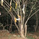 노귀재휴게소 이미지