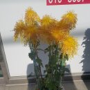 삼환주택전시관 네이버블로그