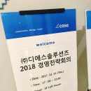 디에스솔루션즈(주)