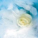 목동한의원 이미지