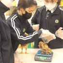 파평중학교 이미지