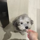 일상압축