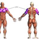 국가대표헬스 이미지