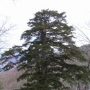 아우라지의 풍경 이미지