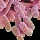 고양센트럴요양병원 이미지