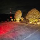 사누르 제주 이미지