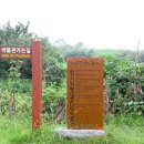 뿌리민박