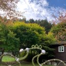 연인산다목적캠핑장 이미지