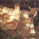 숲속의 공주 이미지