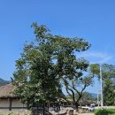 상주동학교당유물전시관 이미지