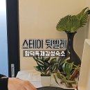 스테이뒷빌레