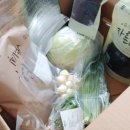 산전농산 | 내가 직접 챙기는 2021 임산부 혜택 9가지 (feat.소띠맘 화이팅)