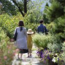 왕숙천로 이미지