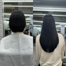 애프터 퍼피(AFTER PUPPY) | 광주 붙임머리 / 숏컷에서 긴생머리 변신은 퍼피마미 추천