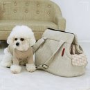 모던켄넬 이미지