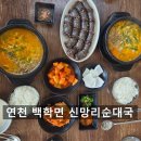 연천 현지인 추천 순대국밥 맛집 [신망리순대국] 백학면 노곡리 해장국 아침식사